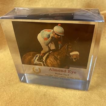 Amazon.co.jp: ［競馬］アーモンドアイ ドバイターフ優勝記念